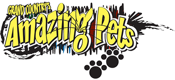 Amazing Pets Logo